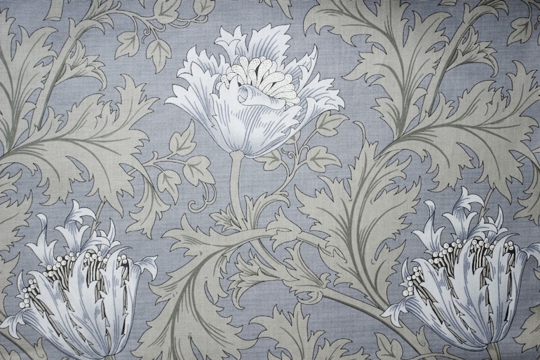 Ji Morris アネモネ<br />ライトブル-